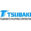 Tsubaki India Power Transmission Private Limited