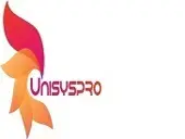 Unisyspro It Services Private Limited