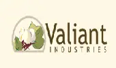 Valiant Glass Works Private Limited
