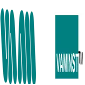Vam Instrument(India) Private Limited