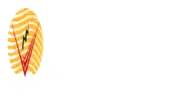 Vasavi Electro Systems Private Limited
