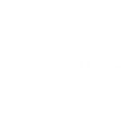 Vertellus Specialty Materials (India) Private Limited