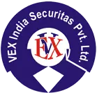 Vex India Securitas Private Limited