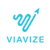 Viavize Consulting (Opc) Private Limited