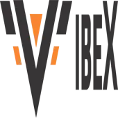 Vibex Machines India Private Limited