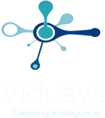 Vidusys Infosystem Private Limited