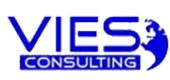 Vies Consulting Private Limited