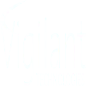 Vigilant Computechnologies Private Limited