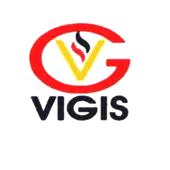 Vigis Search And Support Private Limited