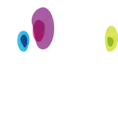 Virinchi Media And Entertainment Private Limited