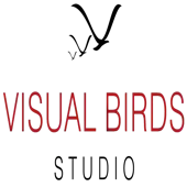 Visual Birds Institute And Studio (Vibes) Private Limited