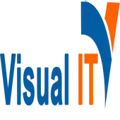 Visual It Solutions Private Limited