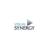 Visual Synergy Private Limited