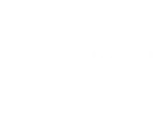 Vittena Analytics Private Limited