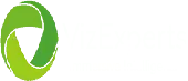 Viz Experts India Private Limited
