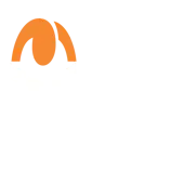 Vox Populi Research And Consultancy Private Limited
