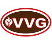 Vvg Security Services Llp