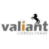 Valiant Consultrade Private Limited