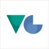 Virtual Gain Technologies Private Limited