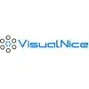 Visualnice It Services Private Limited