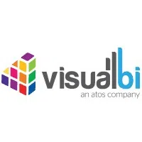 Visual Bi Solutions (India) Private Limited
