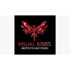 Visual Birds Institute And Studio (Vibes) Private Limited