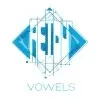 Vowels Consultancy And Solutions Private Limited