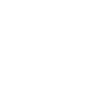 Wadi Surgicals Private Limited