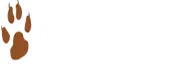 Wagh Footwear Private Limited