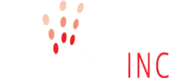 Webcorp Solutions Private Limited