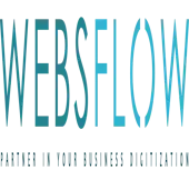Websflow Infocare Private Limited