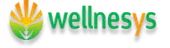 Wellnesys Technologies Private Limited