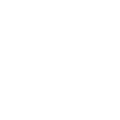 Wellspring Steels Private Limited
