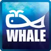 Whale Enterprise Private Limited