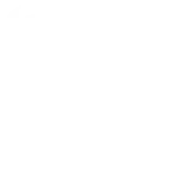 White Whale Advisors Llp