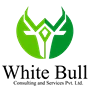White Bull Consulting And Services Private Limited