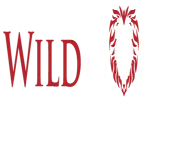 Wildlion Technologies Private Limited