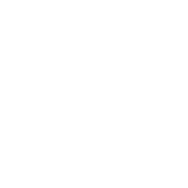 Wild Nest Travel And Photography Private Limited