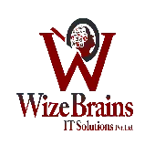 Wize Brains It Solutions Private Limited
