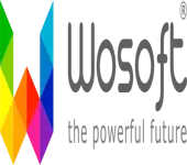 Wosoft Infosystems Private Limited