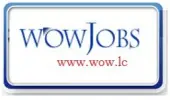 Wow Jobs Private Limited