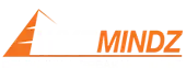Wyzmindz Solutions Private Limited