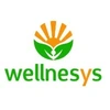 Wellnesys Technologies Private Limited