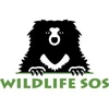 Wildlife Sos India Foundation