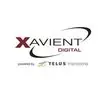 Xavient Software Solutions (India) Private Limited