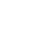 Youth Secrets (Opc) Private Limited