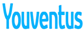 Youventus Consulting Private Limited
