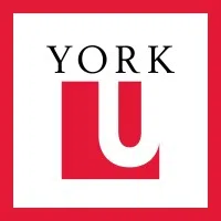 York University India Private Limited