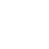 Zapone Solutions Private Limited