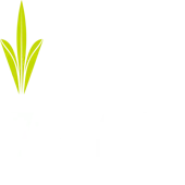 Zealong Private Limited